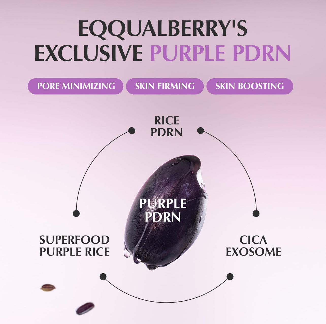Illustration of Equalberry’s exclusive Purple PDRN formula including superfood purple rice, rice PDRN, and CICA exosome