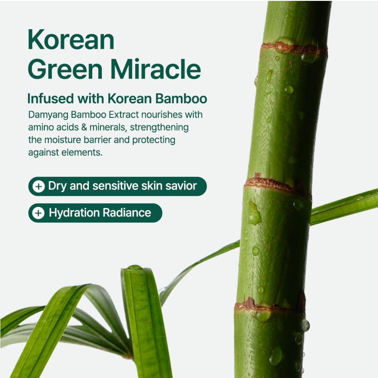 Purito Mighty Bamboo Panthenol Cream – 100ml Purito SEOUL Skincare Purito SEOUL