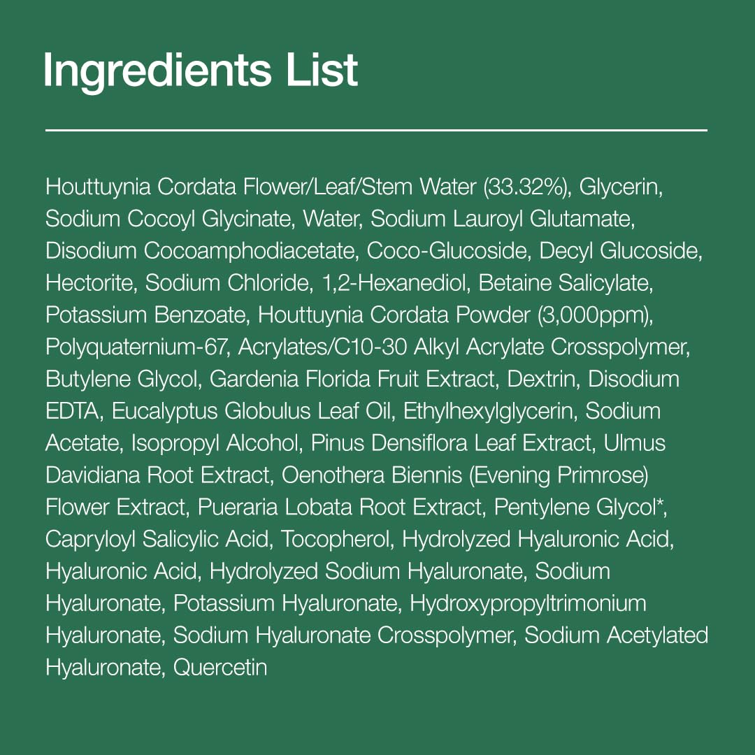ANUA Heartleaf Quercetinol Pore Deep Cleansing Foam Anua Skincare Anua