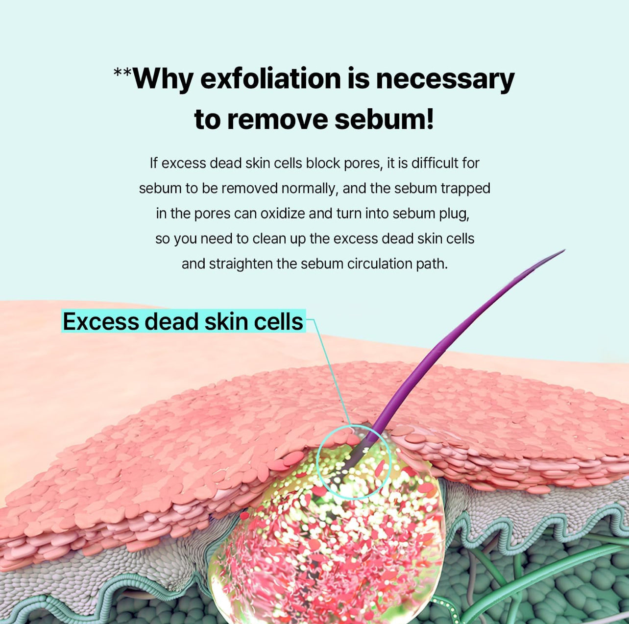 ILSO Super Melting SEBUM Softener + 1/3 Saving Cotton Pad ilso Skincare ilso